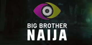 About Big Brother Naija (BBNaija) 2023, Application, Starting Date, Audition, Housemates