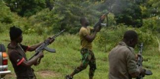 Armed bandits have attacked a community in Adamawa State and left one resident dead.