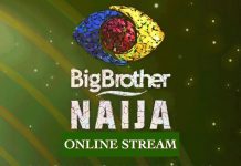 How to Watch BBNaija Daily Highlights on DStv Catch Up