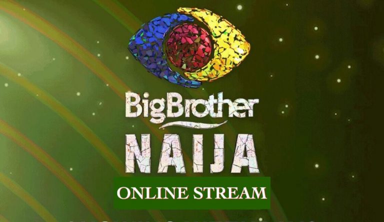 How to Watch BBNaija Daily Highlights on DStv Catch Up