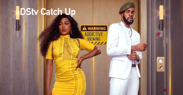 Can I watch the Big Brother Naija daily highlights on DStv Catch Up?