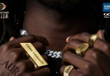 How to Vote in BBNaija 2025 (Season 10) for Your Favorite Housemate